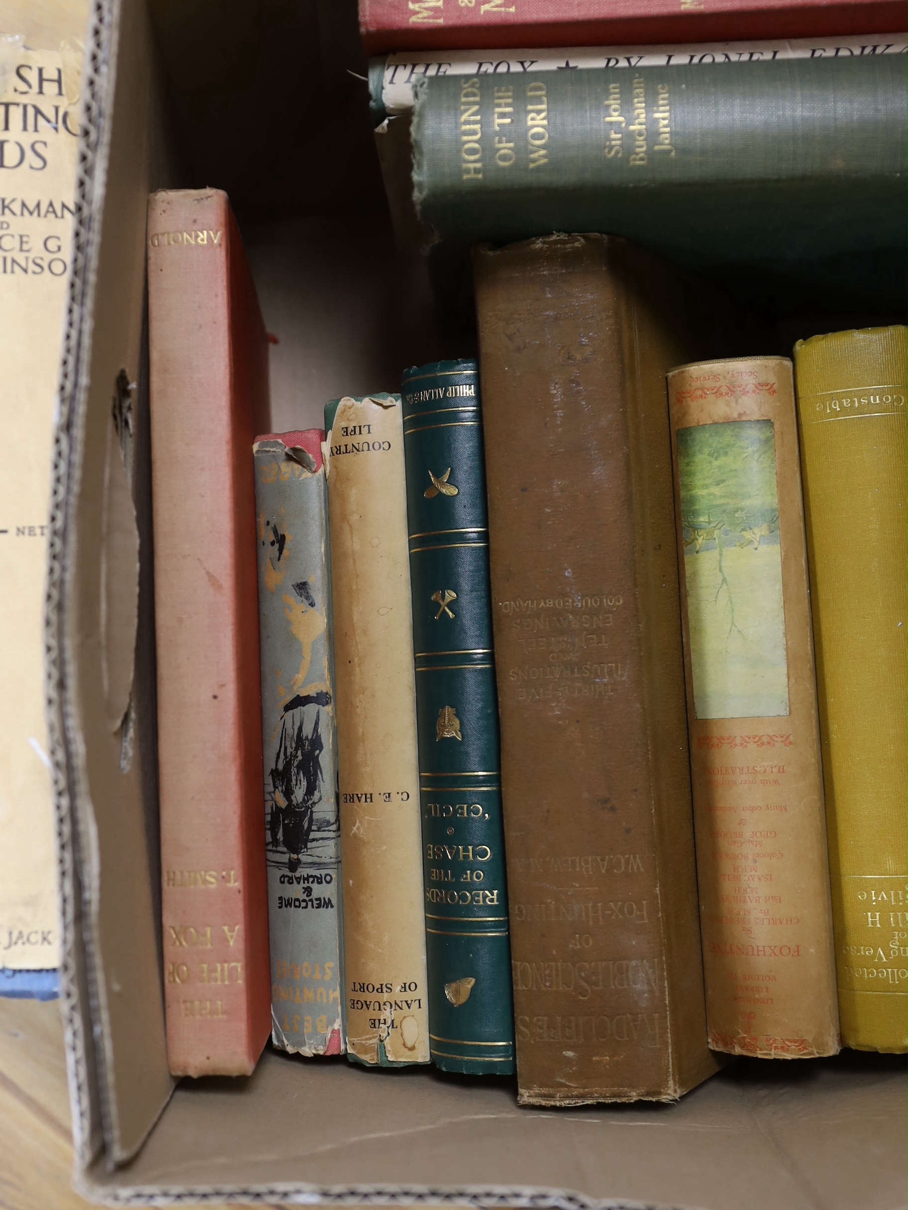 A collection of mixed “sporting “ books